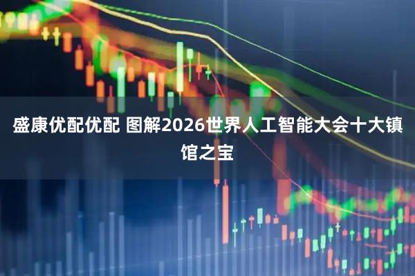 盛康优配优配 图解2026世界人工智能大会十大镇馆之宝